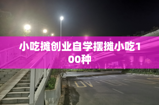 小吃摊创业自学摆摊小吃100种