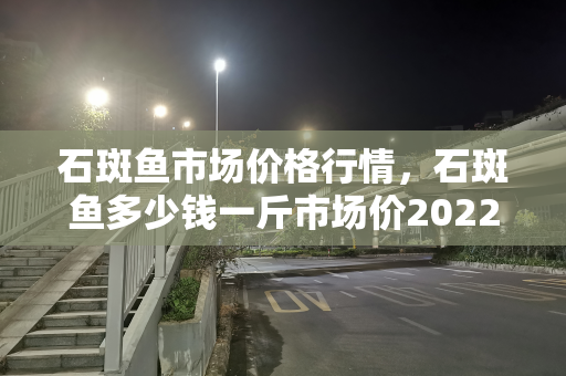 石斑鱼市场价格行情，石斑鱼多少钱一斤市场价2022