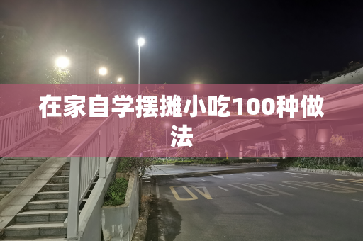 在家自学摆摊小吃100种做法