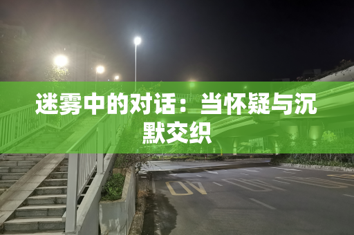 迷雾中的对话：当怀疑与沉默交织