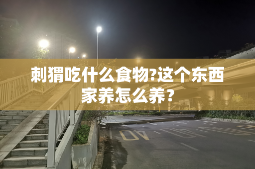 刺猬吃什么食物?这个东西家养怎么养？