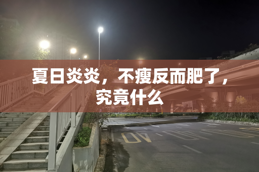 夏日炎炎，不瘦反而肥了，究竟什么
