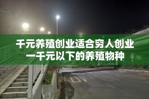 千元养殖创业适合穷人创业一千元以下的养殖物种