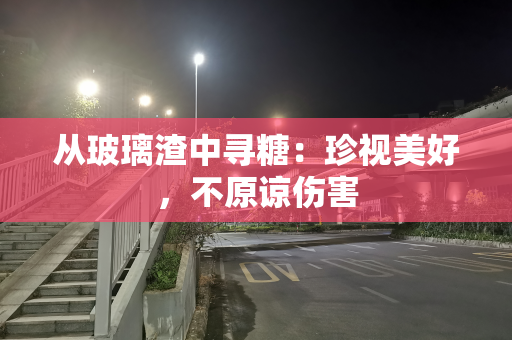 从玻璃渣中寻糖：珍视美好，不原谅伤害