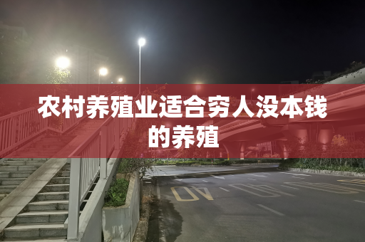 农村养殖业适合穷人没本钱的养殖
