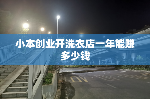 小本创业开洗衣店一年能赚多少钱
