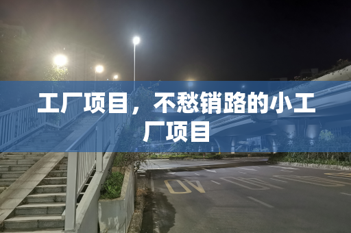 工厂项目，不愁销路的小工厂项目