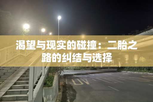 渴望与现实的碰撞：二胎之路的纠结与选择