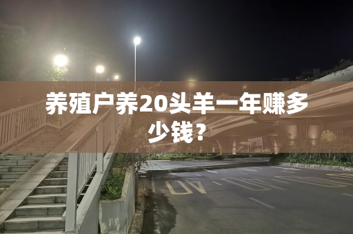 养殖户养20头羊一年赚多少钱？