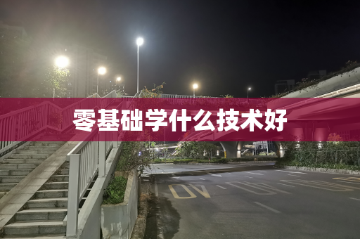 零基础学什么技术好