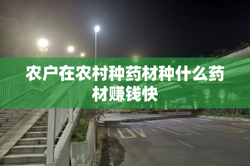农户在农村种药材种什么药材赚钱快