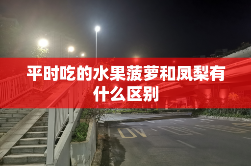 平时吃的水果菠萝和凤梨有什么区别