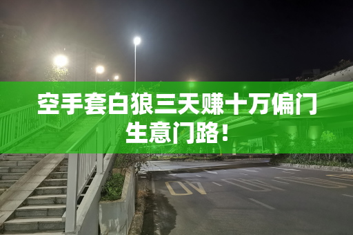 空手套白狼三天赚十万偏门生意门路！