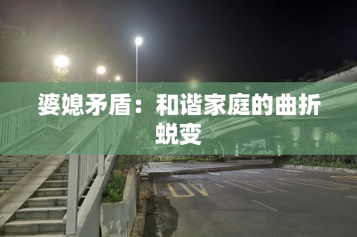 婆媳矛盾：和谐家庭的曲折蜕变