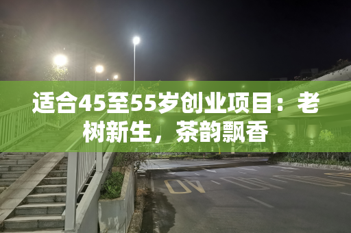 适合45至55岁创业项目：老树新生，茶韵飘香