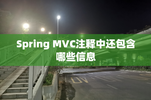 Spring MVC注释中还包含哪些信息