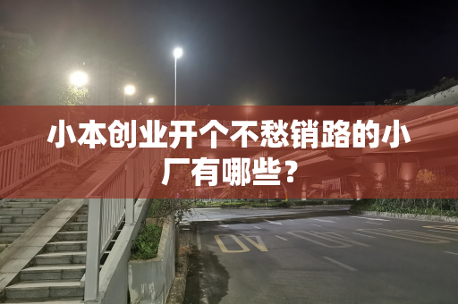 小本创业开个不愁销路的小厂有哪些？