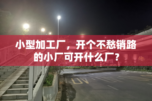 小型加工厂，开个不愁销路的小厂可开什么厂？
