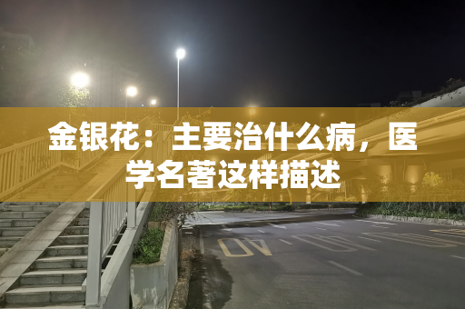 金银花：主要治什么病，医学名著这样描述