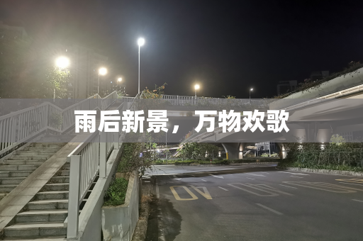 雨后新景，万物欢歌