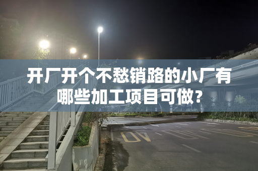 开厂开个不愁销路的小厂有哪些加工项目可做？