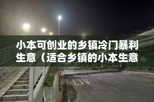 小本可创业的乡镇冷门暴利生意（适合乡镇的小本生意）