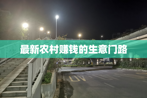 最新农村赚钱的生意门路