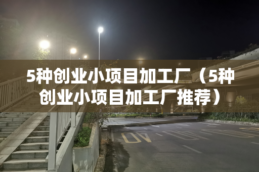 5种创业小项目加工厂（5种创业小项目加工厂推荐）