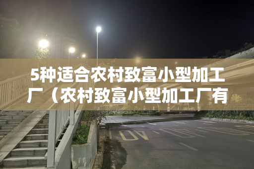 5种适合农村致富小型加工厂（农村致富小型加工厂有哪些？）