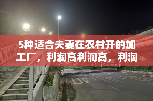 5种适合夫妻在农村开的加工厂，利润高利润高，利润很高
