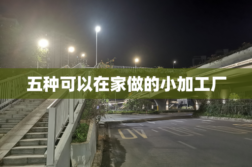 五种可以在家做的小加工厂