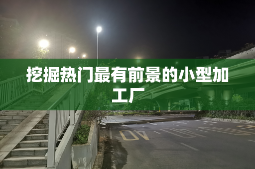 挖掘热门最有前景的小型加工厂