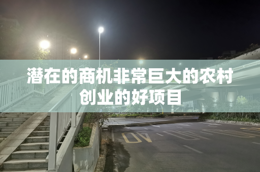 潜在的商机非常巨大的农村创业的好项目