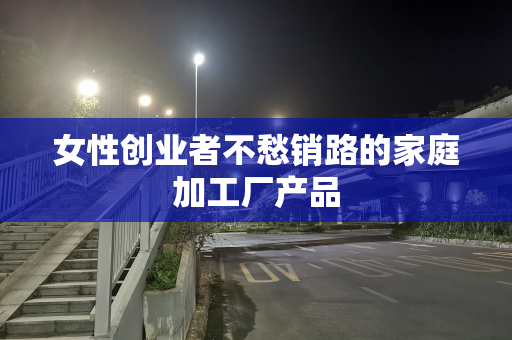女性创业者不愁销路的家庭加工厂产品