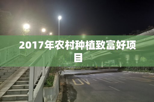 2017年农村种植致富好项目