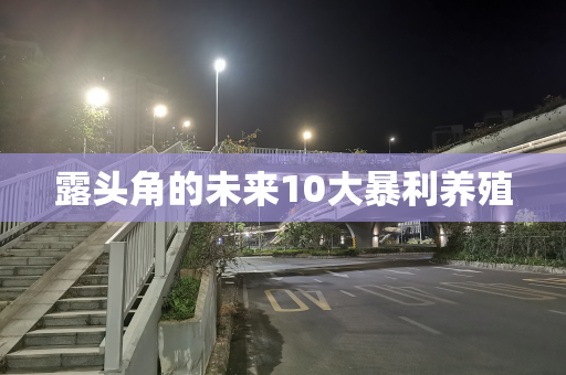 露头角的未来10大暴利养殖