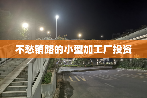 不愁销路的小型加工厂投资