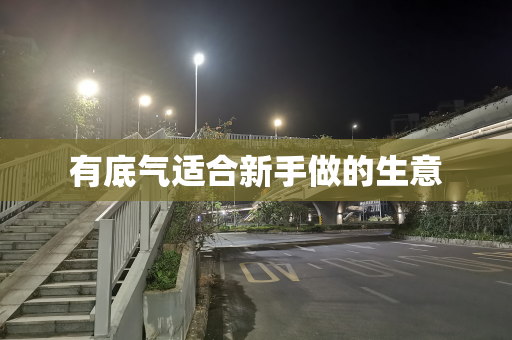 有底气适合新手做的生意