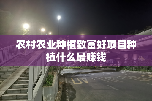 农村农业种植致富好项目种植什么最赚钱