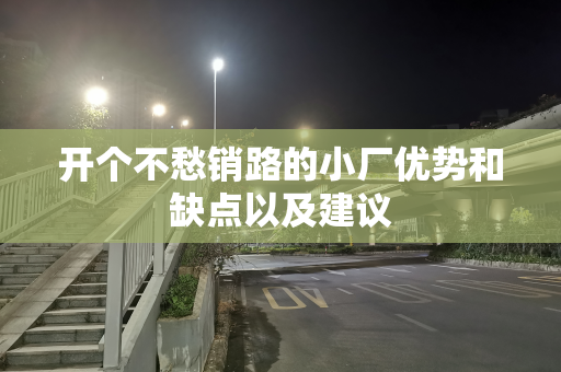开个不愁销路的小厂优势和缺点以及建议