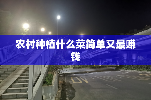农村种植什么菜简单又最赚钱