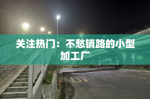 关注热门：不愁销路的小型加工厂