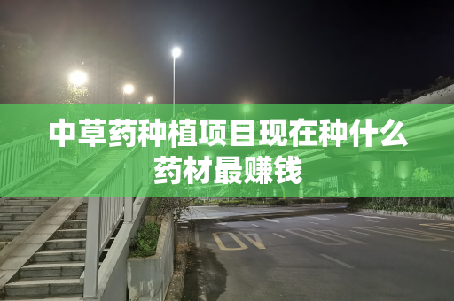 中草药种植项目现在种什么药材最赚钱