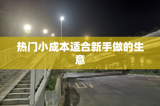 热门小成本适合新手做的生意