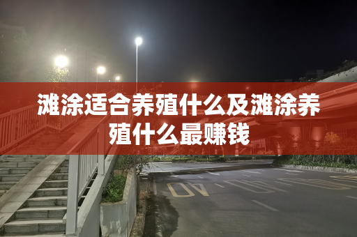 滩涂适合养殖什么及滩涂养殖什么最赚钱