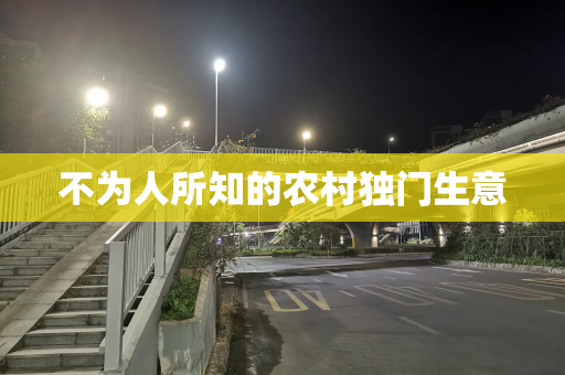 不为人所知的农村独门生意