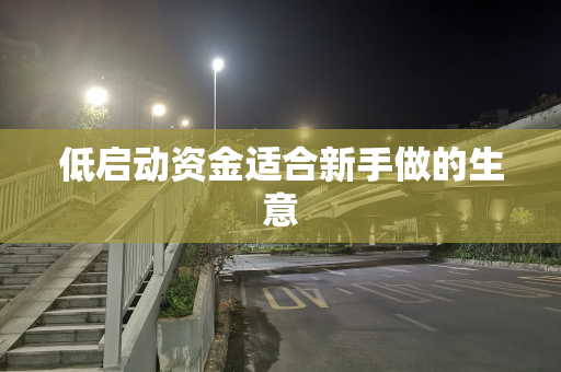 低启动资金适合新手做的生意