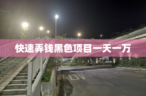 快速弄钱黑色项目一天一万