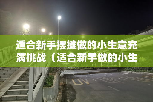 适合新手摆摊做的小生意充满挑战（适合新手做的小生意男）