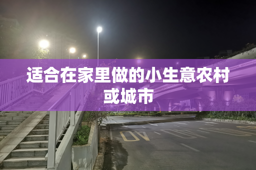 适合在家里做的小生意农村或城市